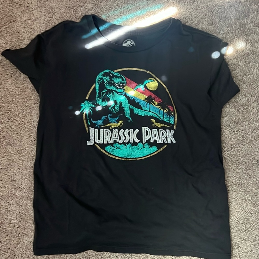 Unisex Gray Jurassic Park Graphic T-Shirt Size Small